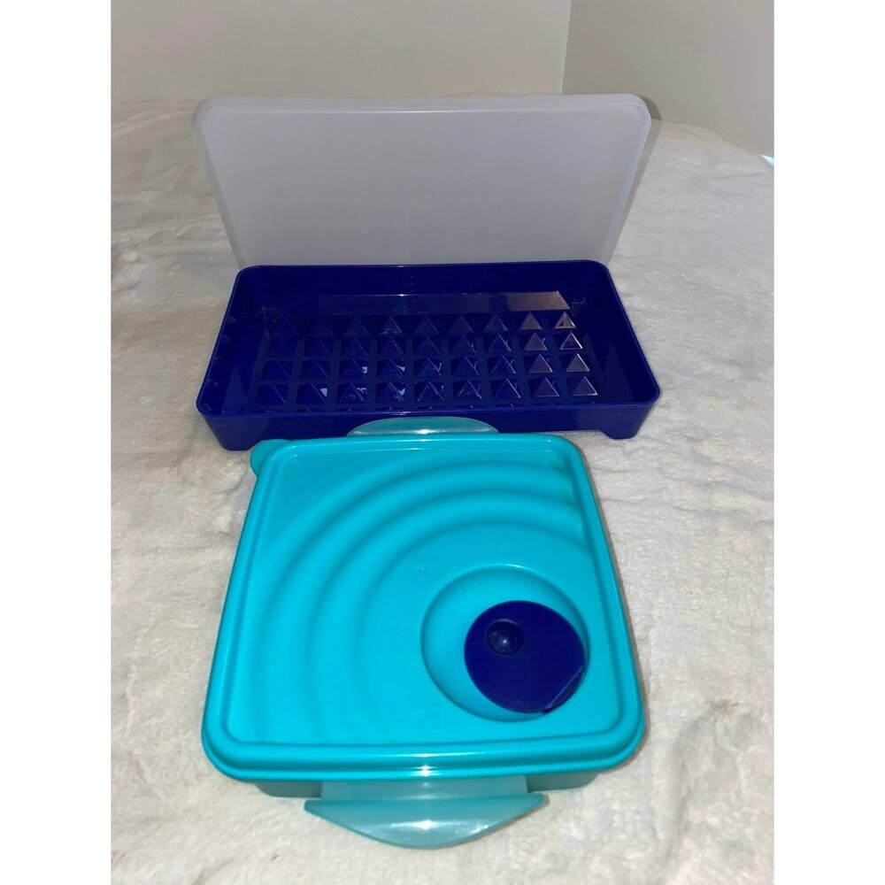 Vintage Tupperware Set of 2 Hot Dog Keeper Sandwich Container